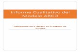 Informe Cualitativo del Modelo ABCD - Gob