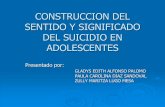 CONSTRUCCION DEL SENTIDO Y SIGNIFICADO DEL SUICIDIO EN ...
