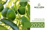 Informe de Sostenibilidad 2020 - Wakate