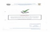 Informe Final Arqueos De Fondos De Caja General Y Efectivo ...