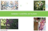 SANIDAD Y CONTROL DE PLAGAS - comaai.org