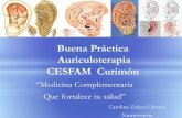 Buena Práctica Auriculoterapía CESFAM de Curimón