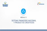 SISTEMA FINANCIERO NACIONAL Y PRODUCTOS CREDITICIOS