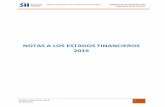NOTAS A LOS ESTADOS FINANCIEROS 2019 - SII