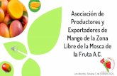 Asociación de Productores y Exportadores de Mango de la ...