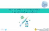 Vacunación COVID-19 en pacientes reumáticos: lo que ...