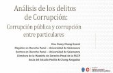 Análisis de los delitos de Corrupción
