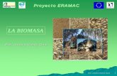Proyecto ERAMAC LA BIOMASALA BIOMASA - Agencia Insular de ...