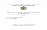 Tema: Experiencias de Alfabetización en la comarca La ...