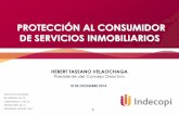 PROTECCIÓN AL CONSUMIDOR DE SERVICIOS INMOBILIARIOS