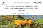 Desarrollo de una Gestión Forestal Sustentable para ...