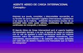 AGENTE AEREO DE CARGA INTERNACIONAL Concepto.-