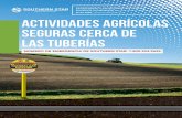 SITIO WEB:  Actividades agrícolas ...