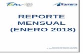 REPORTE MENSUAL (ENERO 2018)