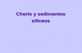Cherts y sedimentos silíceos - fse.materias.gl.fcen.uba.ar