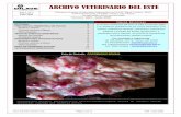 ARCHIVO VETERINARIO DEL ESTE - Sociedad de Medicina ...