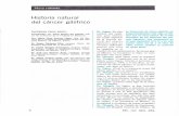 Historia natural del cáncer gástrico - UNAM