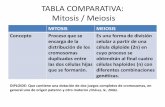 TABLA COMPARATIVA: Mitosis / Meiosis