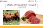 CADENA CÁRNICA BOVINA - BUFALINA - APROVET