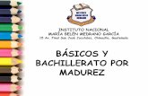 BÁSICOS Y BACHILLERATO POR MADUREZ - PRODESSA