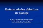 Enfermedades abióticas en plantas