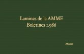 Laminas de la AMME Boletines 1 - lossoldaditosdeplomo.com