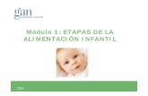 Módulo 1: ETAPAS DE LA ALIMENTACIÓN INFANTIL