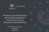 Proyecto de Fideicomiso para la Recuperación Económica de ...
