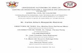 MEDICO ESPECIALISTA EN CIRUGIA GENERAL CO-DIRECTOR DE ...