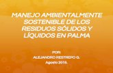 SOSTENIBLE DE LOS MANEJO AMBIENTALMENTE RESIDUOS …
