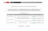 DIRECTIVA Nº001-2022-INAIGEM/GG