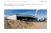 Biomasa para Chile: desarrollo de una Estrategia Sectorial