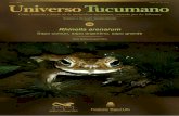 Universo Tucumano 58 - Rhinella arenarum (Duport Bru)