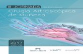 III JORNADA PRE-PROGRAMA Cirugía Artroscópica de Muñeca