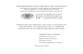 Tesis de Doctorado - RiuNet repositorio UPV