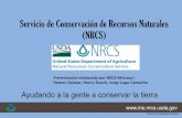 Servicio de Conservación de Recursos Naturales (NRCS)