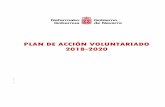 PLAN DE ACCIÓN VOLUNTARIADO 2018-2020