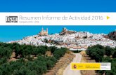 Resumen Informe de Actividad 2016