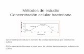 Métodos de estudio Concentración celular bacteriana
