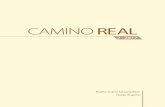 Camino REAL 2-2017 - RSSB