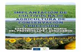 IMPLANTACIÓN DE CULTIVOS BAJO AGRICULTURA DE CONSERVACIÓN ...
