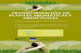 TRANSFORMACIÓN DE PLANTAS AROMÁTICAS Y MEDICINALES