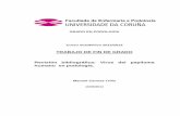 TRABAJO DE FIN DE GRADO Revisión bibliográfica: Virus del ...