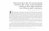 Escenarios de la economía étnica de una comunidad nahua ...