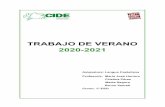 TRABAJO DE VERANO 2020-2021