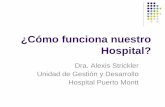 ¿Cómo funciona nuestro Hospital? - Neo Puerto Montt