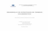 DESARROLLO DE ESTRATEGIAS DE TRABAJO COLABORATIVO