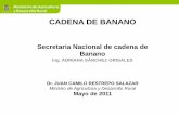 Secretaria Nacional de cadena de Banano