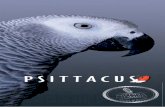 Psittacus catalogo 2020 ES copia seguretat