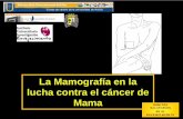La Mamografía en la lucha contra el cáncer de Mama